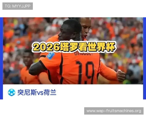 2026年世界杯突尼斯对阵荷兰比赛阵容详细分析与预测